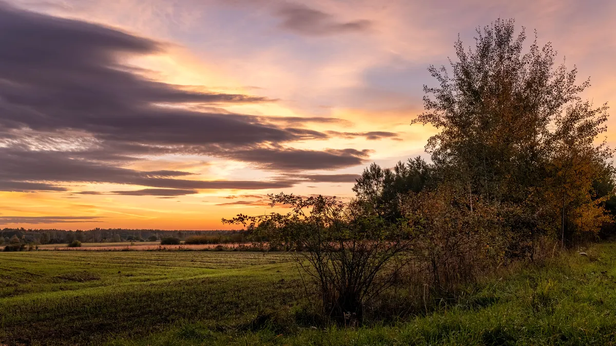 An autumn sunset over fields